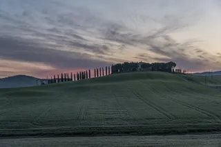 葡萄园，首页，业务，红酒，意大利，农场，农村，天空
