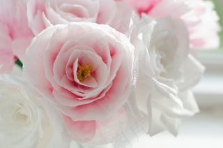 花卉,玫瑰花,粉红色玫瑰花,粉色玫瑰,黄玫瑰,纸花