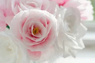 花卉,玫瑰花,粉红色玫瑰花,粉色玫瑰,黄玫瑰,纸花