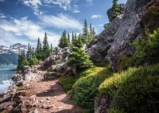 山，雪，树木，风景名胜，自然，景观，Vista