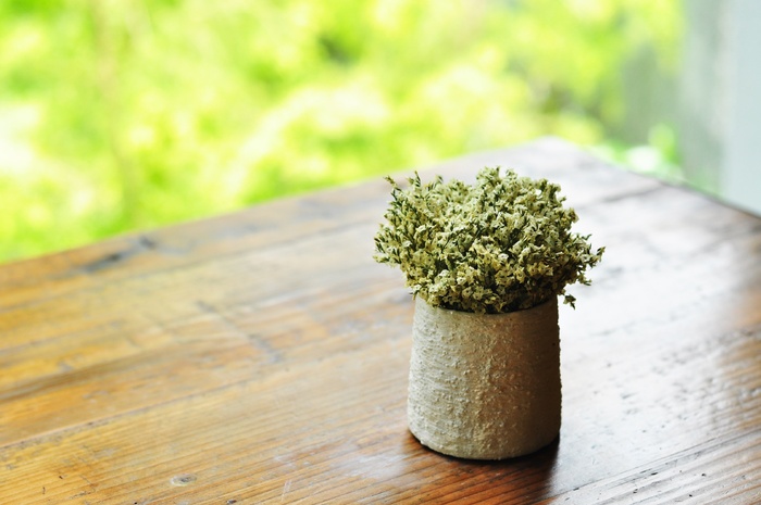 菊花，开花，花，表