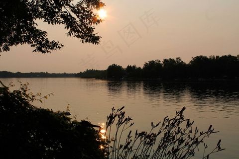 水，太阳，树木，自然，天空，日落，风景