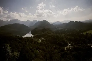 山峦,云雾,天空,树,风景,旧金山阿尔卑斯山