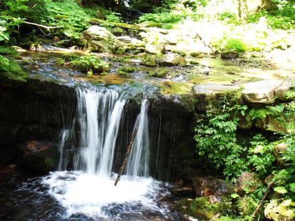 堰，水，银行，流域，自来水，河