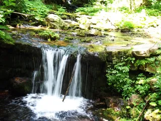 堰，水，银行，流域，自来水，河