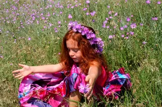 女孩，花圈，红头发，连衣裙，电影，鲜花