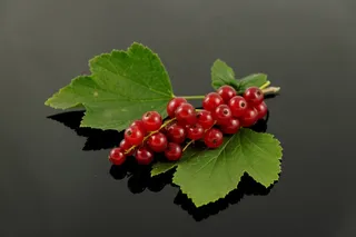 Träubele，葡萄干，水果，浆果，食品，自然