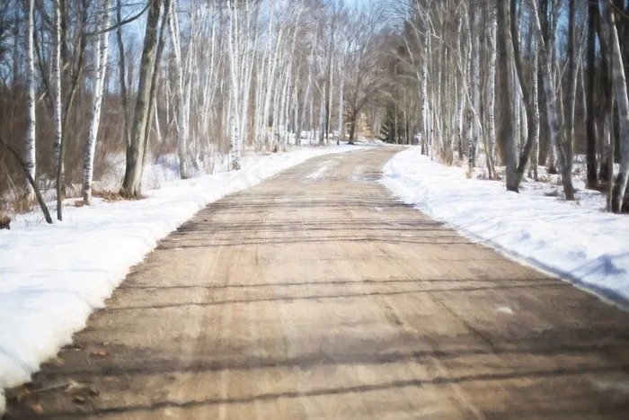 冬季道路，白桦树，森林，自然