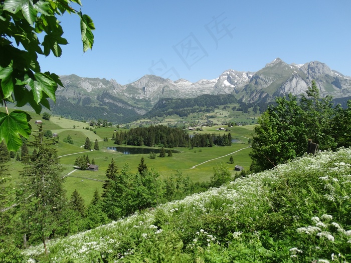 高山世界，瑞士，山地景观，自然