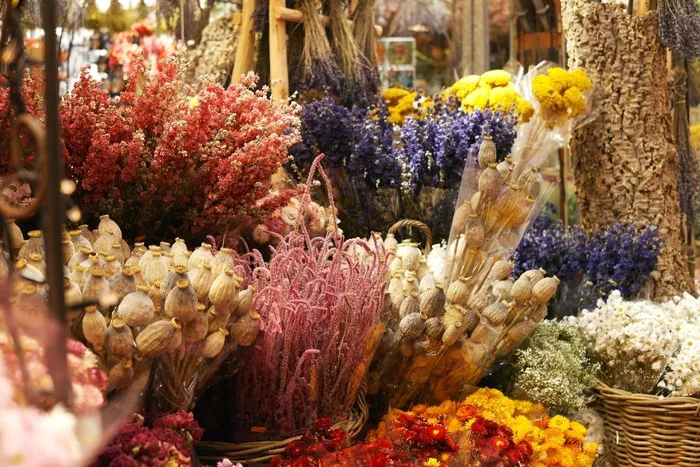 鲜花，鲜花收藏，花束，干花