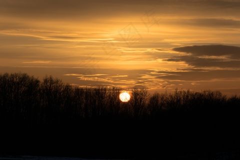 日落，森林，树木，橙色，天空，太阳，心情