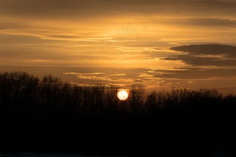 日落，森林，树木，橙色，天空，太阳，心情