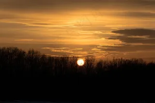 日落，森林，树木，橙色，天空，太阳，心情