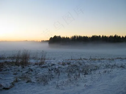 冬季,雪,薄雾,雾,森林,场,余辉 冬季,雪,薄雾,雾,森林,场,余辉