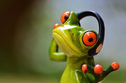 青蛙,耳机,音乐,舞蹈,姿势,摄影师 青蛙,耳机,音乐,舞蹈,姿势,摄影师
