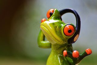 青蛙，耳机，音​​乐，舞蹈，姿势，摄影师