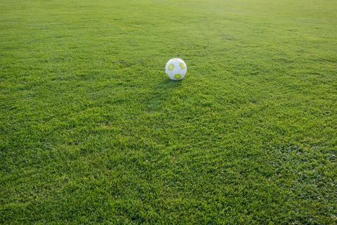 足球，运动场，球，足球场，体育