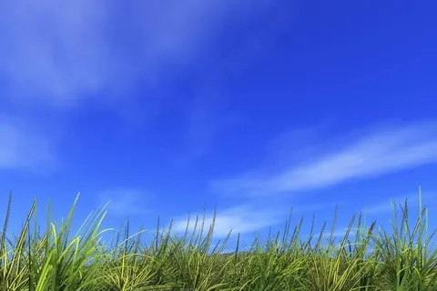 刷新,小山,场,夏天,地球,太阳 刷新,小山,场,夏天,地球,太阳