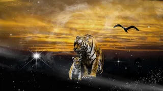 图形，电脑，虎，年轻，鸟，日落