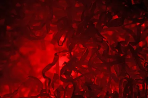 洞穴溶洞,闹花灯,花港观鱼,被子,床单,红色纹理纸