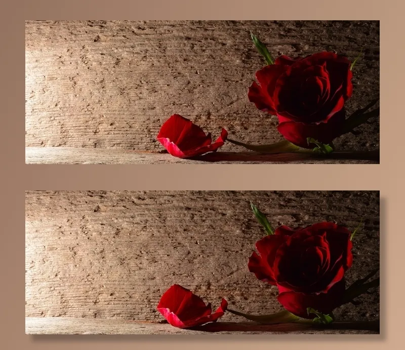 玫瑰，红色，花，开花，背景，木