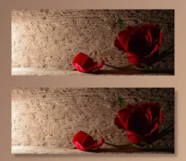 玫瑰,红色,花,开花,背景,木 玫瑰,红色,花,开花,背景,木