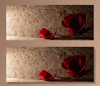 玫瑰，红色，花，开花，背景，木