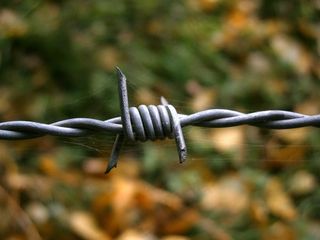 铁丝网，电线，蜘蛛网，蜘蛛网，指出，安全