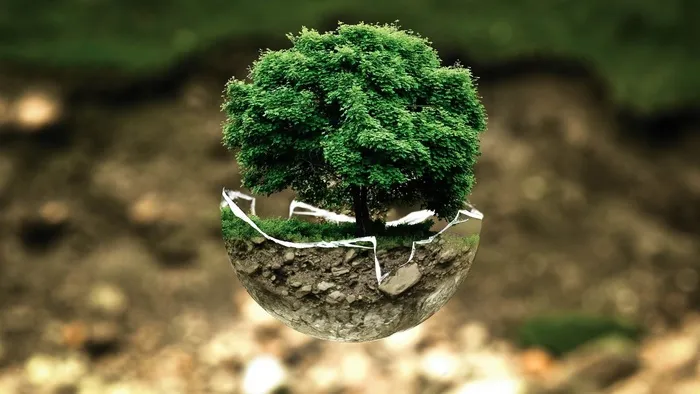 植物,atmosphere,盆栽植物,paradies der tiere,金龟子,裂土盆景树