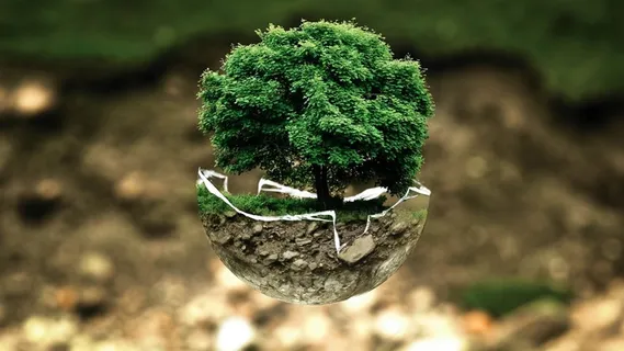 植物,atmosphere,盆栽植物,paradies der tiere,金龟子,裂土盆景树 植物,atmosphere,盆栽植物,paradies der tiere,金龟子,裂土盆景树