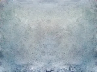 纹理图,陶瓷地砖,石板,地板,地毯,海贝壳-免费纹理