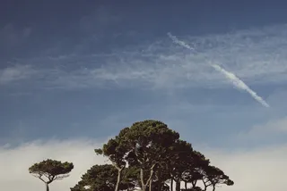 天空,树,山峦,风景,白云,树木和天空