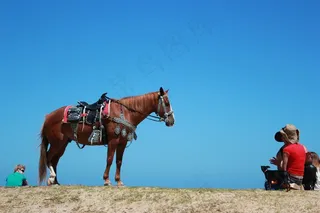 马，鞍，蓝天，骑马，马匹