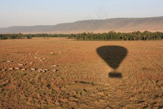 热气球，阴影，旅行，飞行，户外，漂浮
