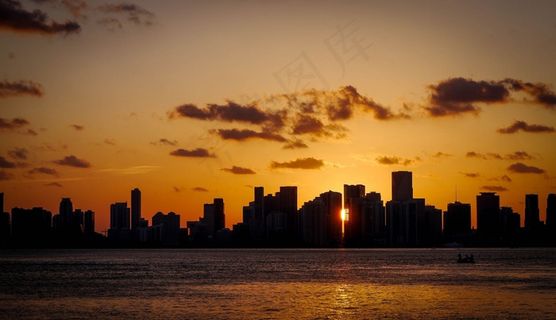 种，日落，晚上，迈阿密，剪影