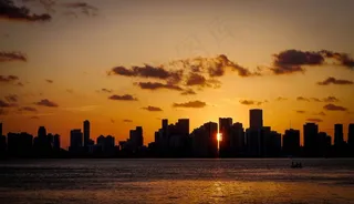 种，日落，晚上，迈阿密，剪影