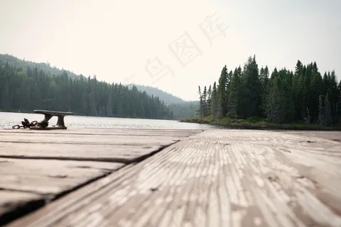现代建筑,桥梁,街道,地板砖,树,木着陆阶段森林树木 现代建筑,桥梁,街道,地板砖,树,木着陆阶段森林树木