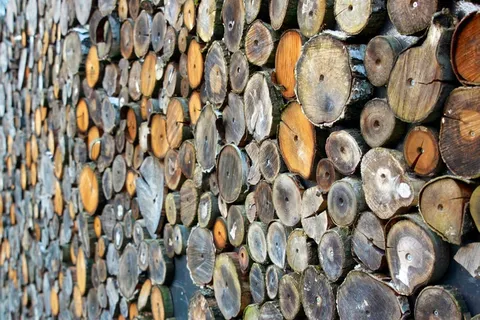 木材,Holzstapel,梳子切线,木柴,原木 木材,Holzstapel,梳子切线,木柴,原木