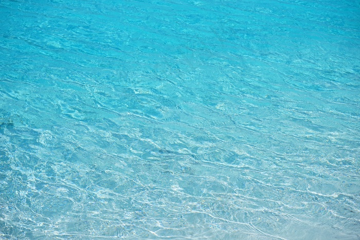 水，透明，蓝色，茶点，透明