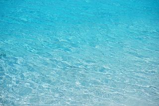 水，透明，蓝色，茶点，透明