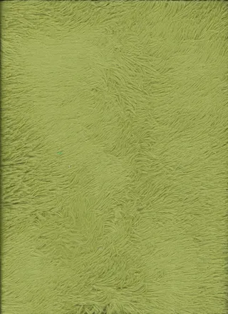 草坪，材料，地毯，毯子，绒毛，纹理