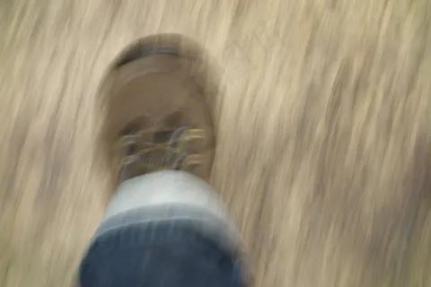 脚，鞋，种族，逃脱，恐惧，攻击，焦虑发作