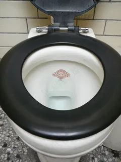 马桶,暖锅,碗,备胎罩,水壶,从未拍摄过尼尔森街公共厕所马桶的照片