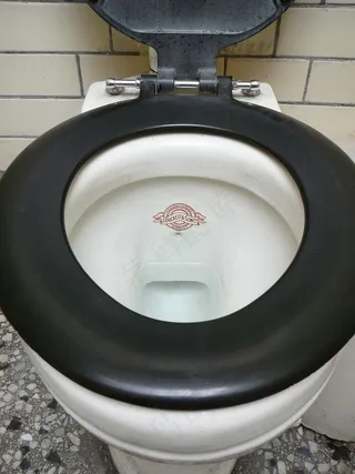 马桶,暖锅,碗,备胎罩,水壶,从未拍摄过尼尔森街公共厕所马桶的照片