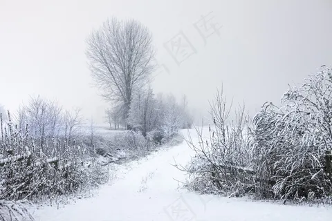 寒冷,国家,景观,道路,雪,冬天 寒冷,国家,景观,道路,雪,冬天