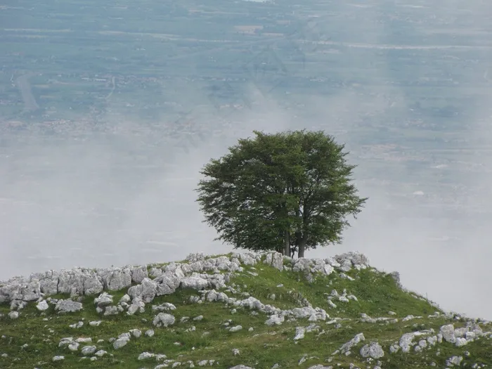 树，云，山，景观，天空，蓝色，云