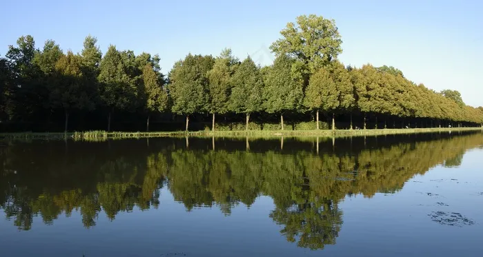 城堡公园，Schlossgarten，镜像，反射