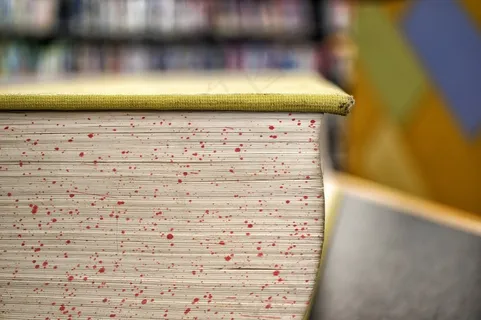 书籍，打开，研究，页面，封面，教科书，信息