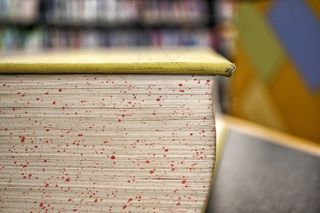 书籍，打开，研究，页面，封面，教科书，信息