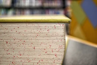 书籍，打开，研究，页面，封面，教科书，信息